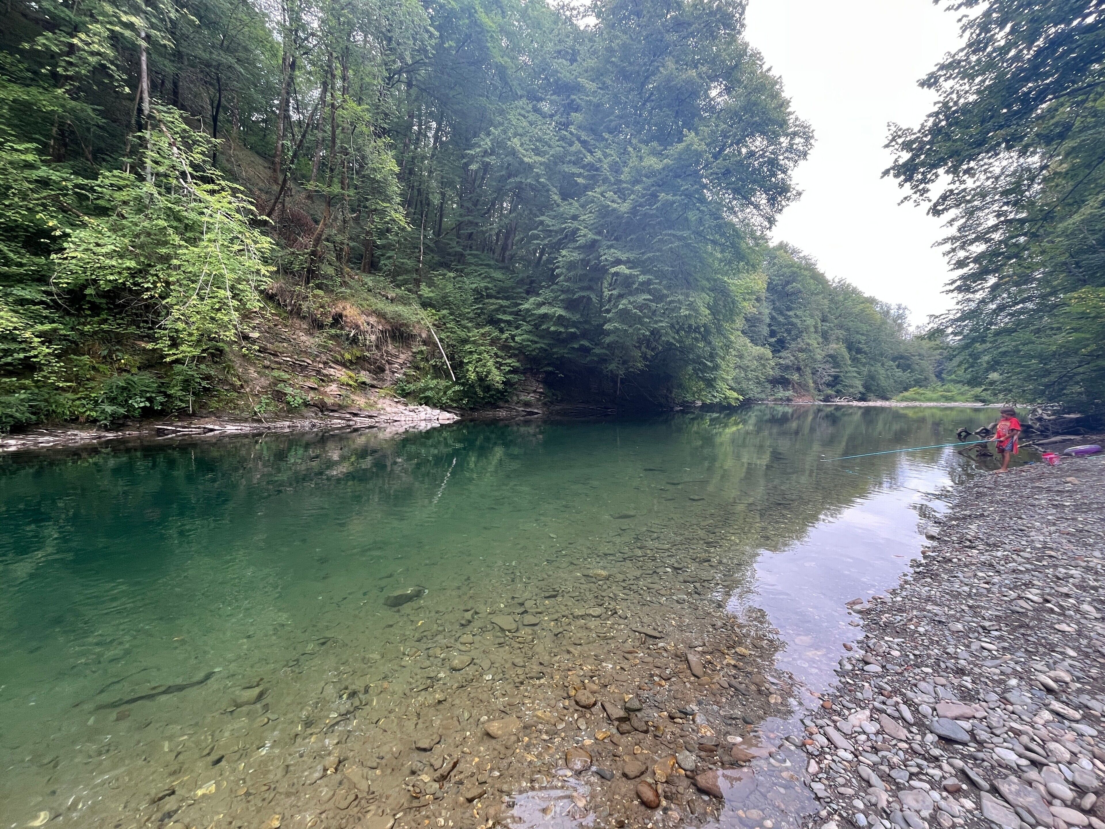 A river with clear water, surrounded by dense forest.