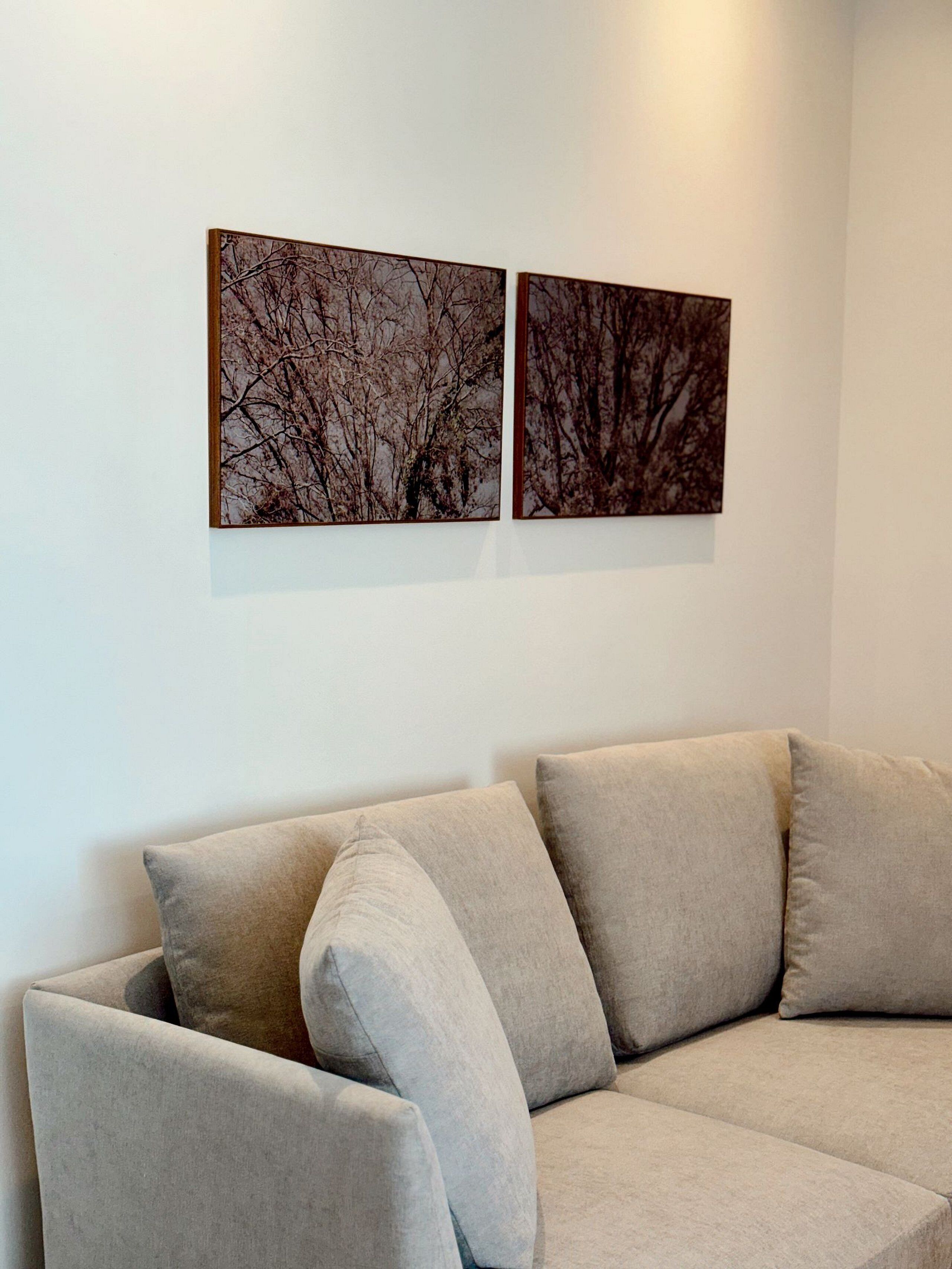 Un sofá beige con varios cojines frente a una pared blanca. Encima del sofá, dos cuadros con imágenes de árboles desnudos.