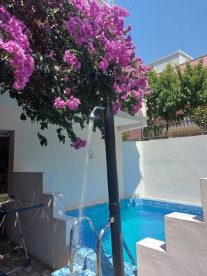Une piscine agrémentée d’un élément décoratif aquatique, entourée d’un mur blanc et d’un arbre aux fleurs roses.