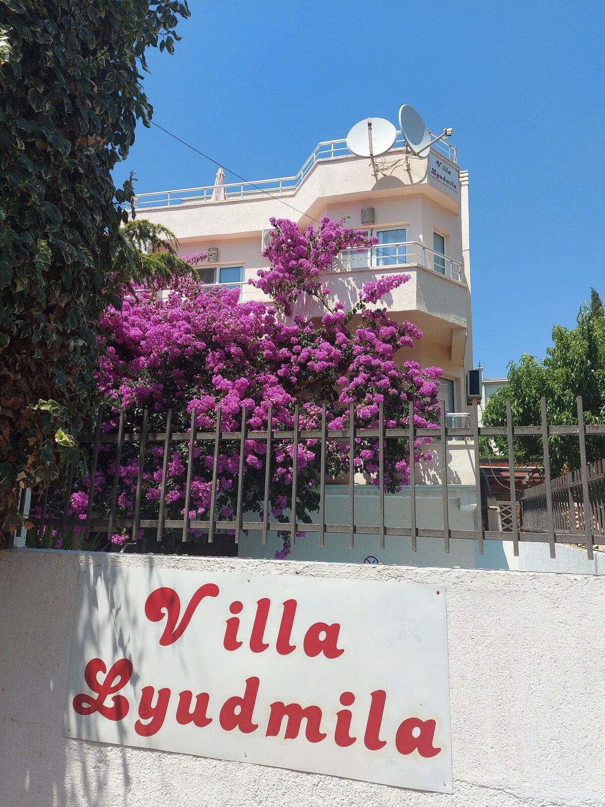 オーナーのプロフィール画像