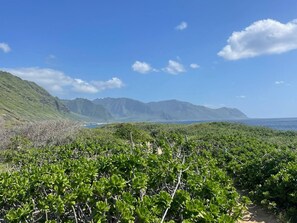 Paesaggio costiero con vegetazione lussureggiante e montagne sullo sfondo.