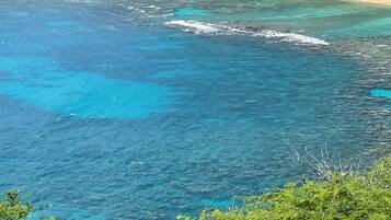 Rumah | 3 kamar tidur