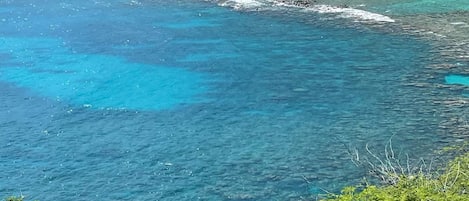 Casa | 3 habitaciones