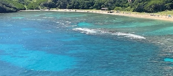 Topspots - Paradise Getaway 2-min Drive to Beach