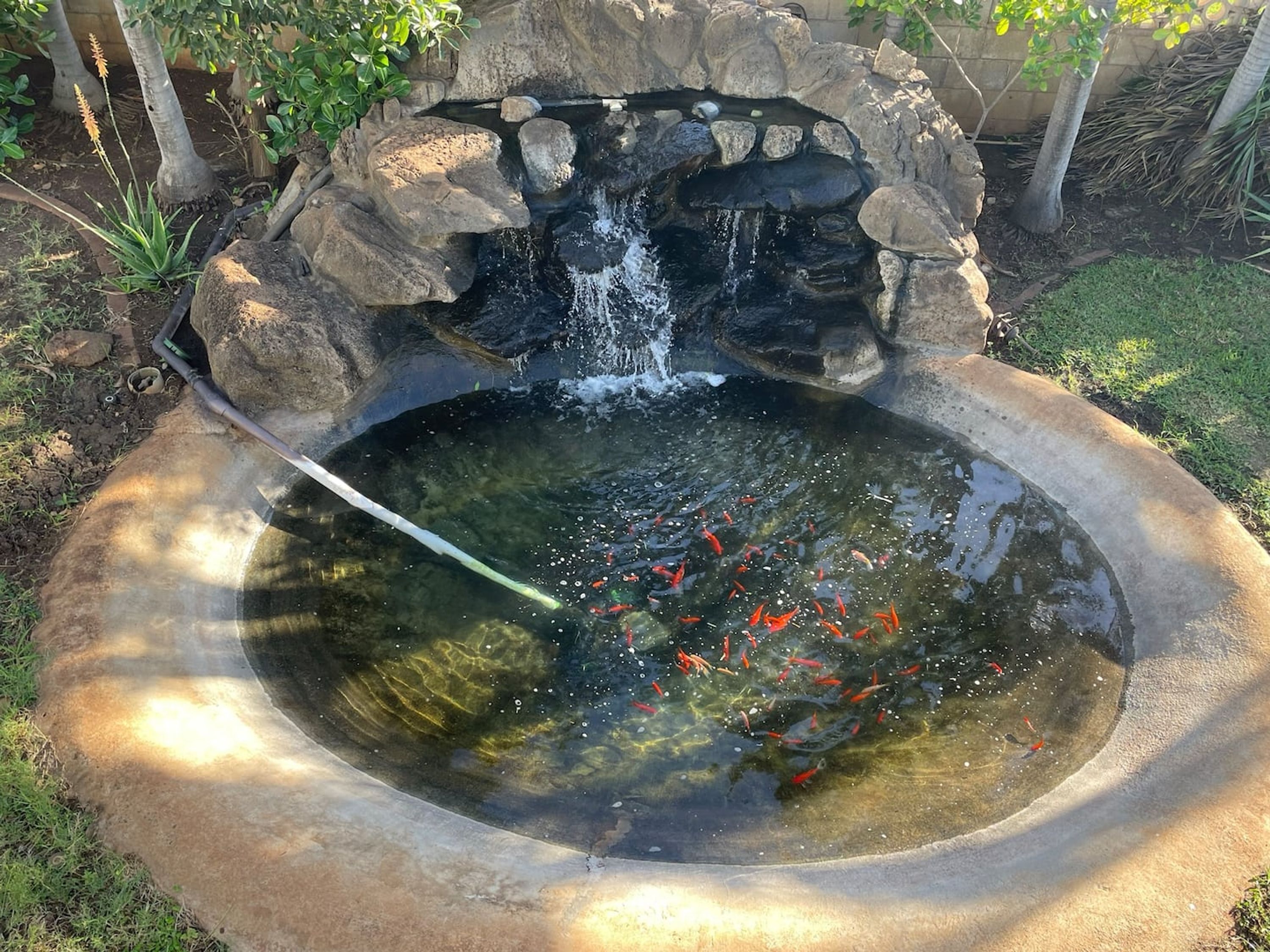 獨棟房屋 | 3 間臥室