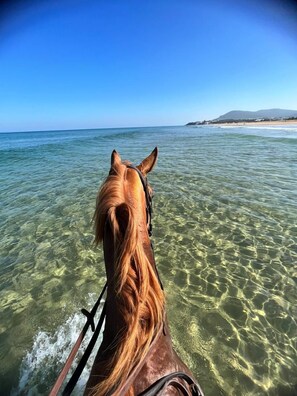 Exterior - Royal Club Detroit Bed and Breakfast (Hjar Ennhal)