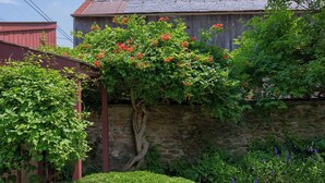 A stone wall with a vine-covered trellis and a wooden building with a red roof. - Highville Hideaway - 2 bed, 1 bath, country views (Conestoga)