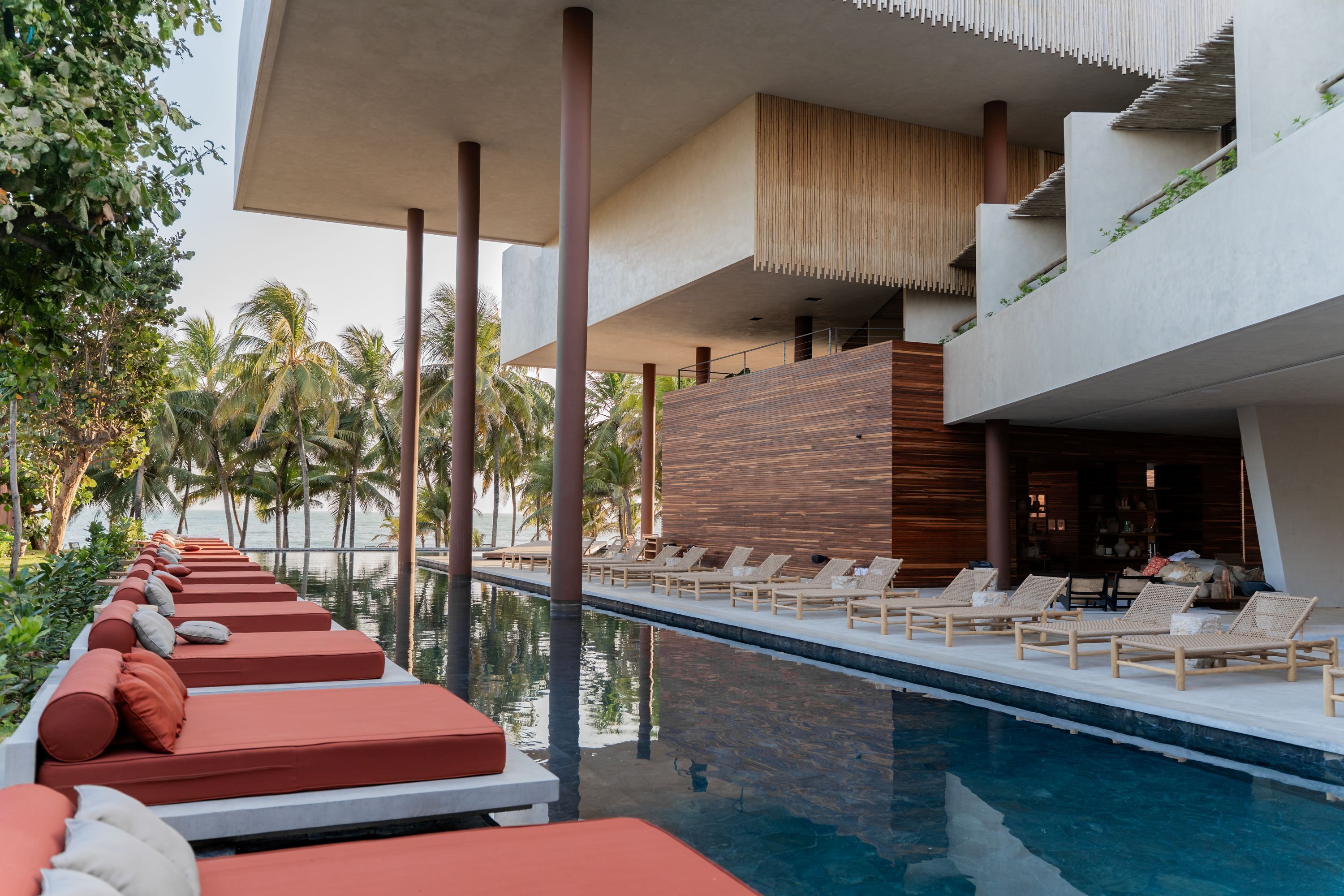 Outdoor pool, sun loungers