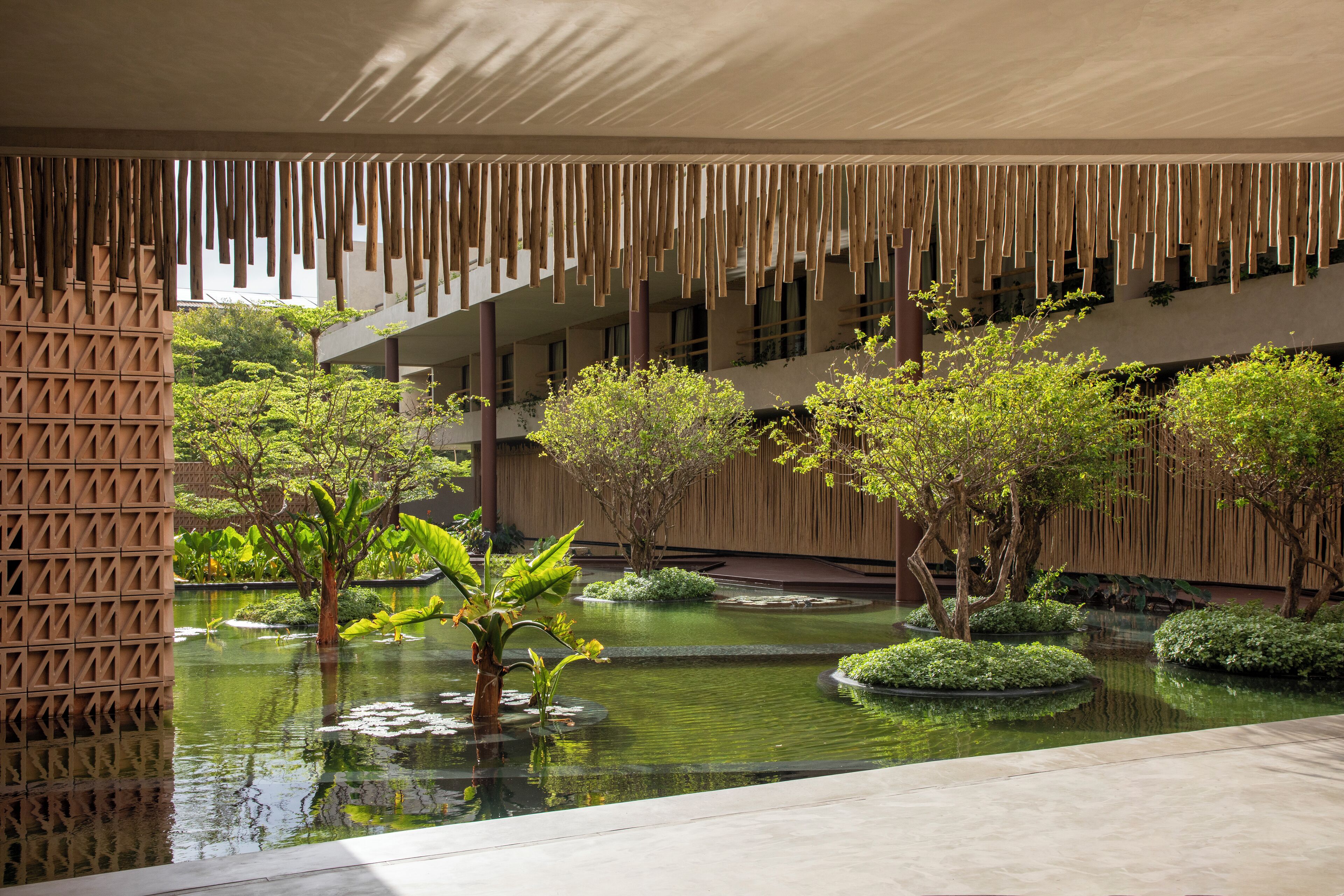 Un edificio moderno con un patio que incluye un jardín acuático, detalles de bambú y abundante vegetación.