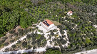 MATHEMATIC GREEN - A look at nature