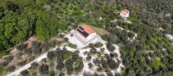 MATHEMATIC GREEN - A look at nature