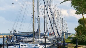En lysthavn med flere sejlbåde i havnen, en træbrygge og et græsareal med træer.