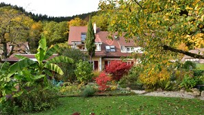 Un quartier résidentiel avec des maisons, un jardin où l’on trouve différentes espèces de plantes, et une colline en arrière-plan.