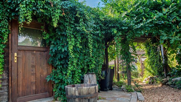 Une porte en bois, un tonneau et un chemin pavé de pierres.