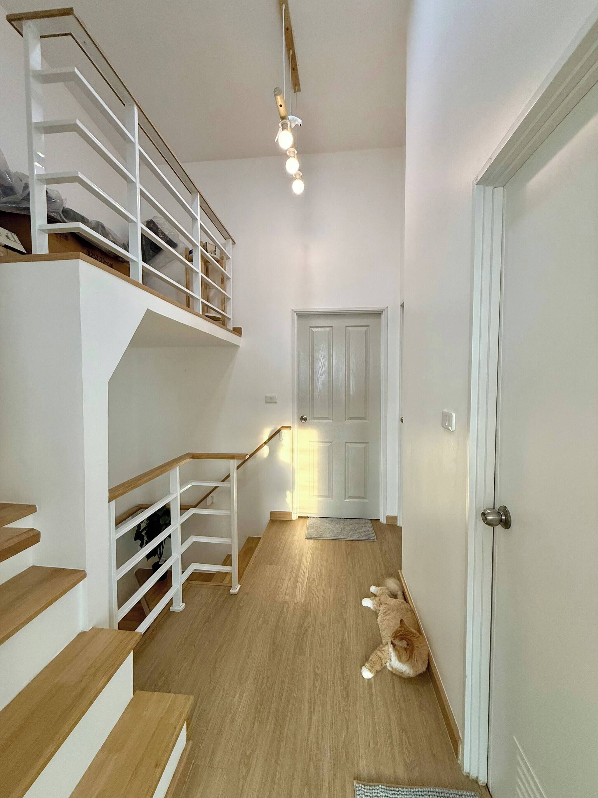 A staircase with wooden steps and white railings, leading to a landing with a white door and a small rug.