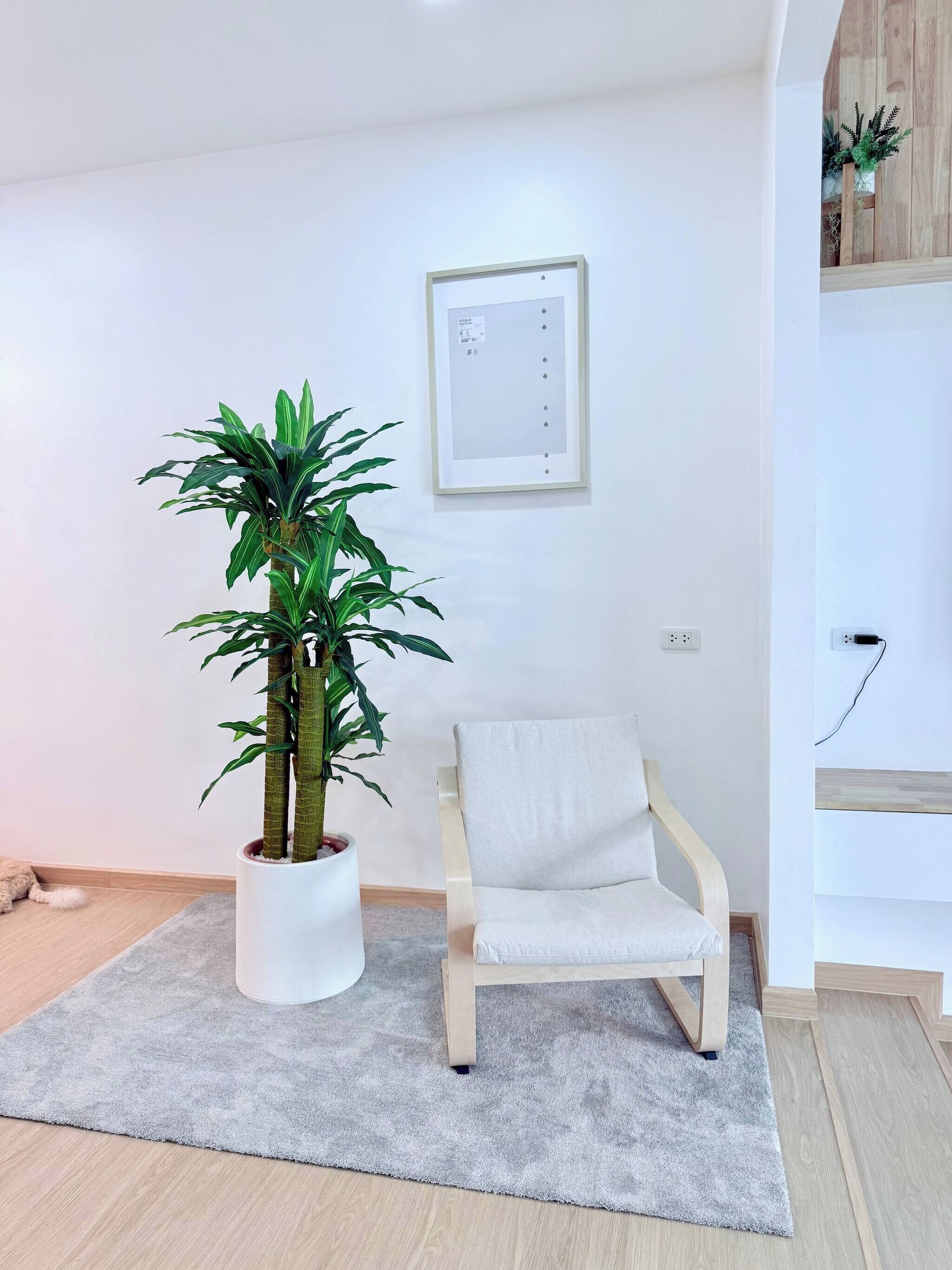 Ein Zimmer mit grauem Teppich, einem weißen Stuhl, einer großen Kübelpflanze und einem an der Wand befestigten Lichtschalter.