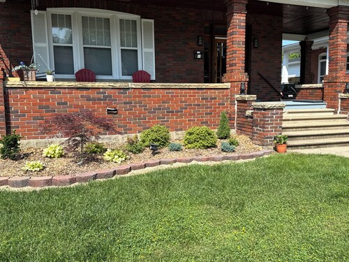 Dandelion in the Heart of Boonsboro