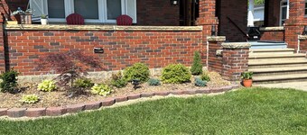 Dandelion in the Heart of Boonsboro