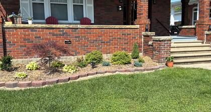 Dandelion in the Heart of Boonsboro