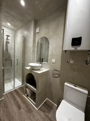 Shower, hair dryer, soap, toilet paper - Studio 3 " Aux volets bleus " Cosy studio at the foot of the Pyrenees (Aulus-les-Bains)