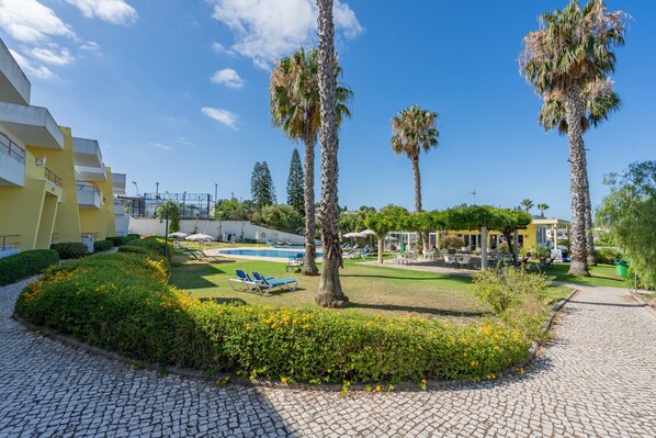 A courtyard with palm trees, a swimming pool, and lounge chairs.