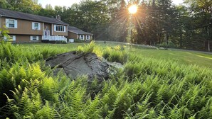 A house with a front porch, surrounded by lush greenery and a large rock in the foreground.