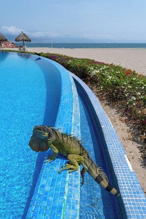Am Strand, Liegestühle, Strandtücher