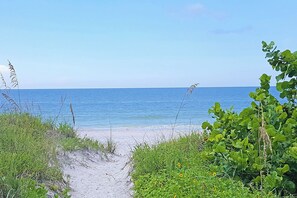 Beach - Balcony Breezes & Beach Dreams (Indian Rocks Beach)