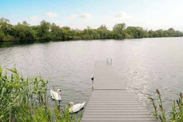 A wooden dock extending into calm water with swans swimming nearby. - Firefly Lodge - Lakeside Cotswold Stay with Kayaks (South Cerney)
