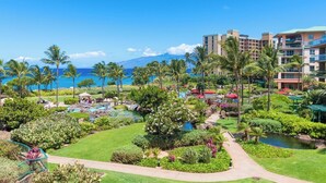 A resort with a pool, palm trees, and a view of the ocean.