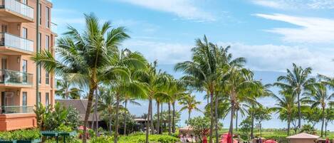 Terrain de lâhĂ©bergement