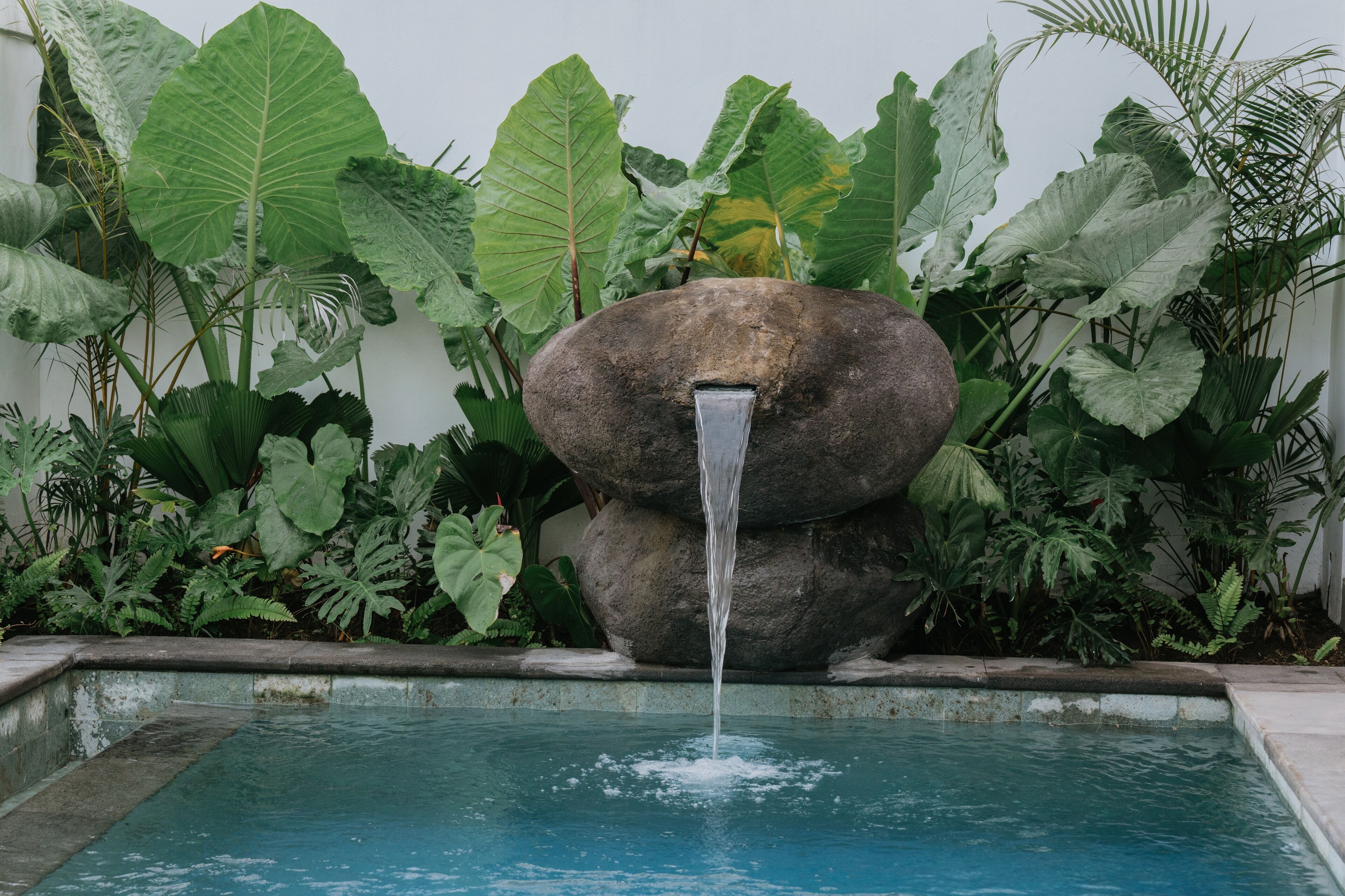 Une piscine agrémentée d’une cascade et entourée de grandes plantes tropicales.