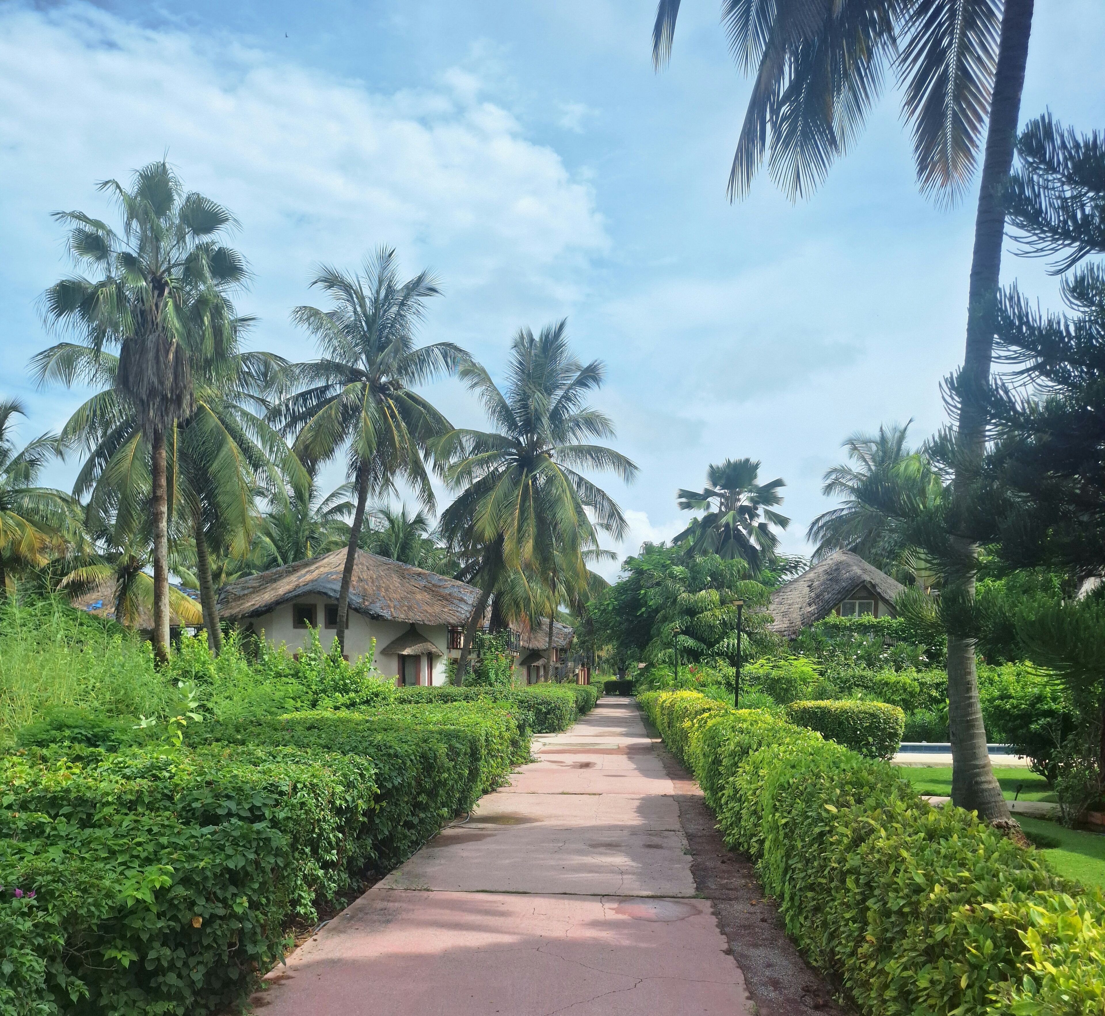 Terrein van de accommodatie