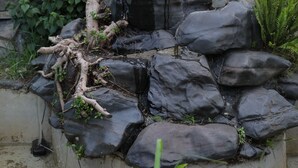 Un jardí paisatjístic amb una construcció de pedra, envoltat de vegetació i plantes.