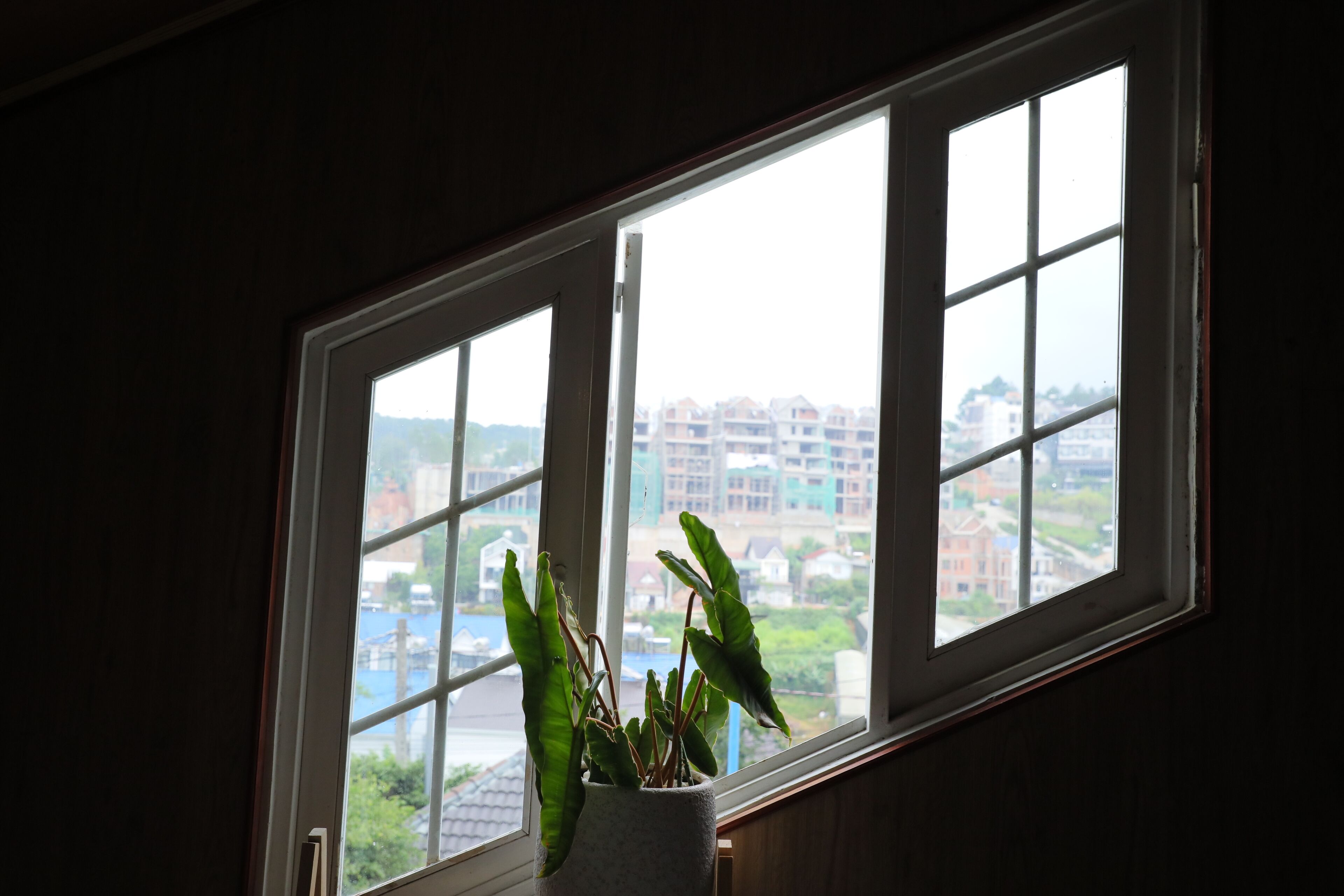 A window with a view of buildings and a plant in a white pot.