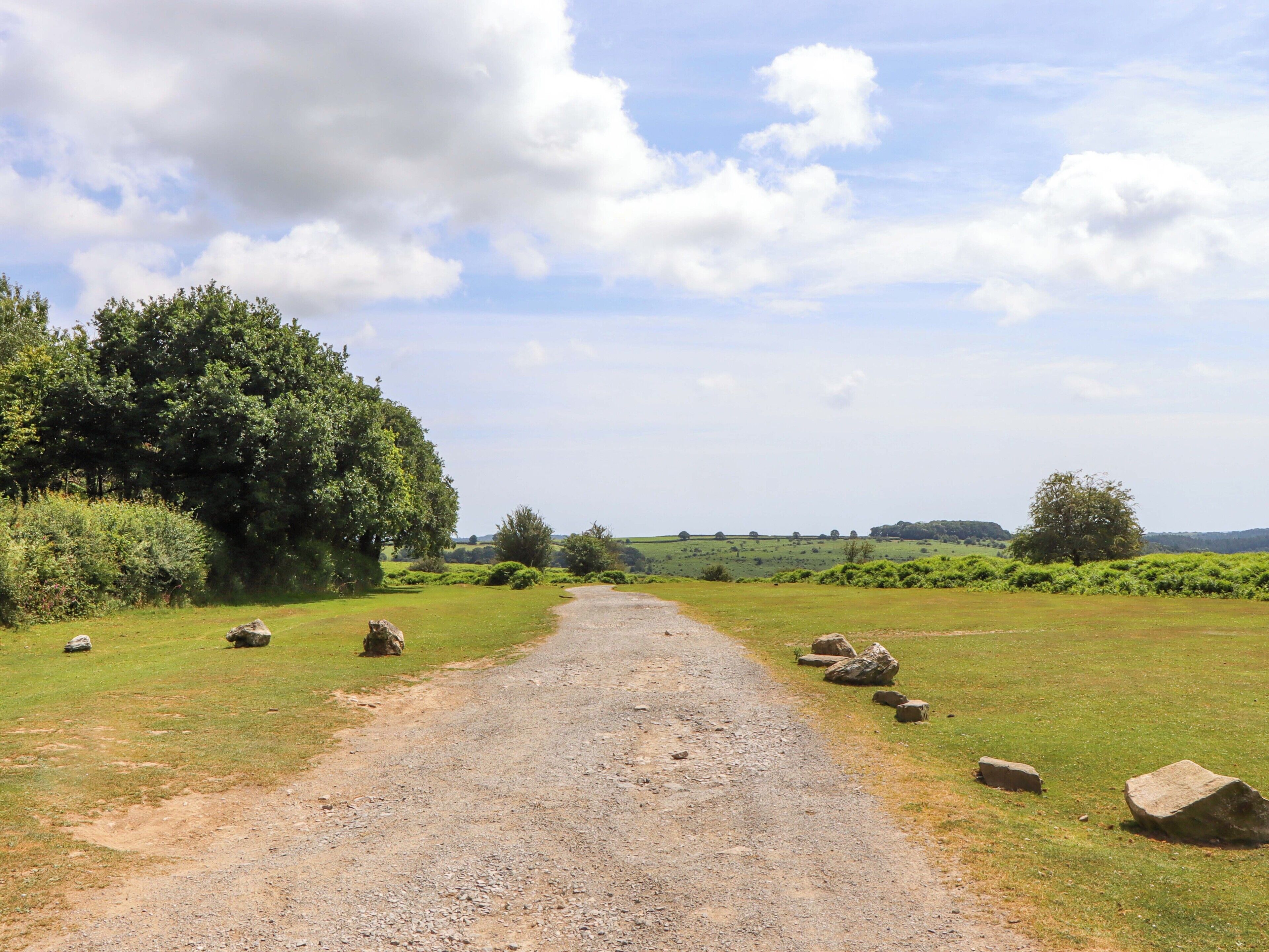 Ein Kiesweg schlängelt sich durch eine ländliche Landschaft mit vereinzelten Steinen und Bäumen.