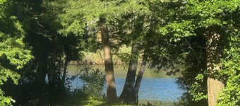 3-bedroom creekside cabin in charming Havelock with kayak and paddleboards.