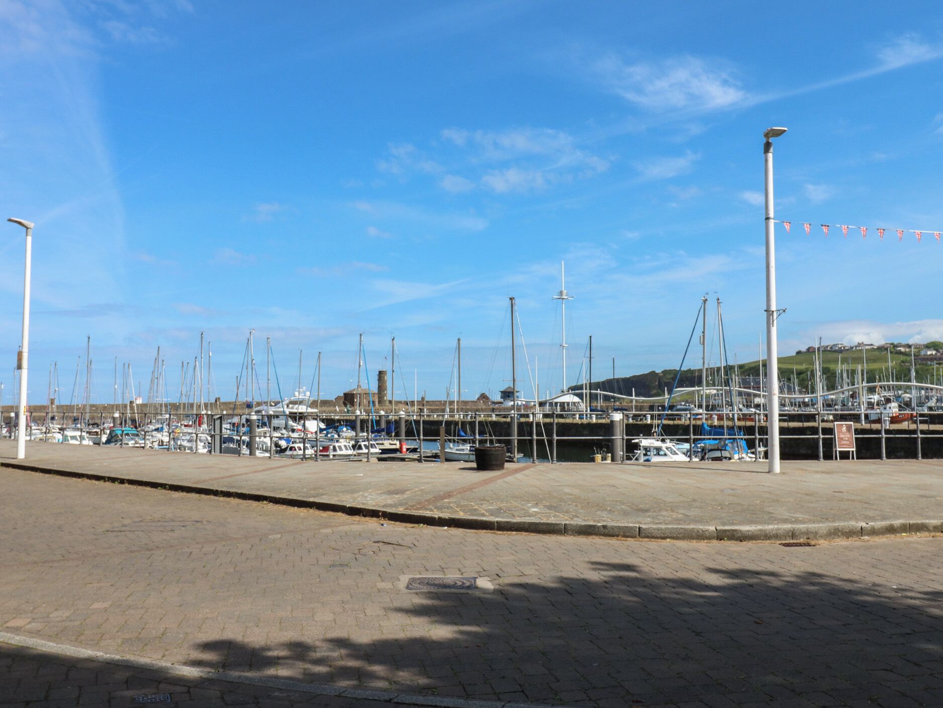Un puerto deportivo con barcos amarrados, un paseo marítimo pavimentado y cielo despejado.