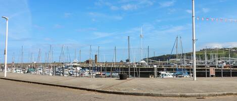 A marina with boats docked, a paved walkway, and a clear sky.