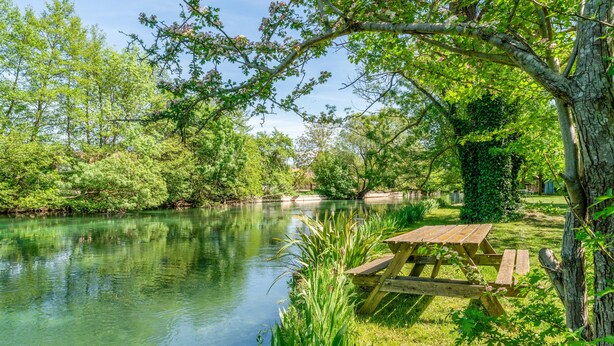 Un espace de pique-nique au bord de la rivière, avec un banc en bois, entouré d’une végétation luxuriante et d’arbres.
