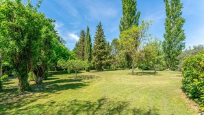 Un área verde con césped, árboles y cielo despejado.