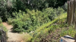 A dirt path leading through a wooded area with a wooden fence on one side and a signpost on the other. - Top: Detached Villa for 8 People • Air Conditioning • Terrace • Beaches within a 10-minute walk (Saint-Cyr-sur-Mer)