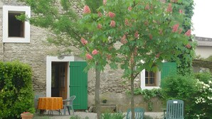 A stone building with a garden, outdoor seating, and a tree with pink flowers.