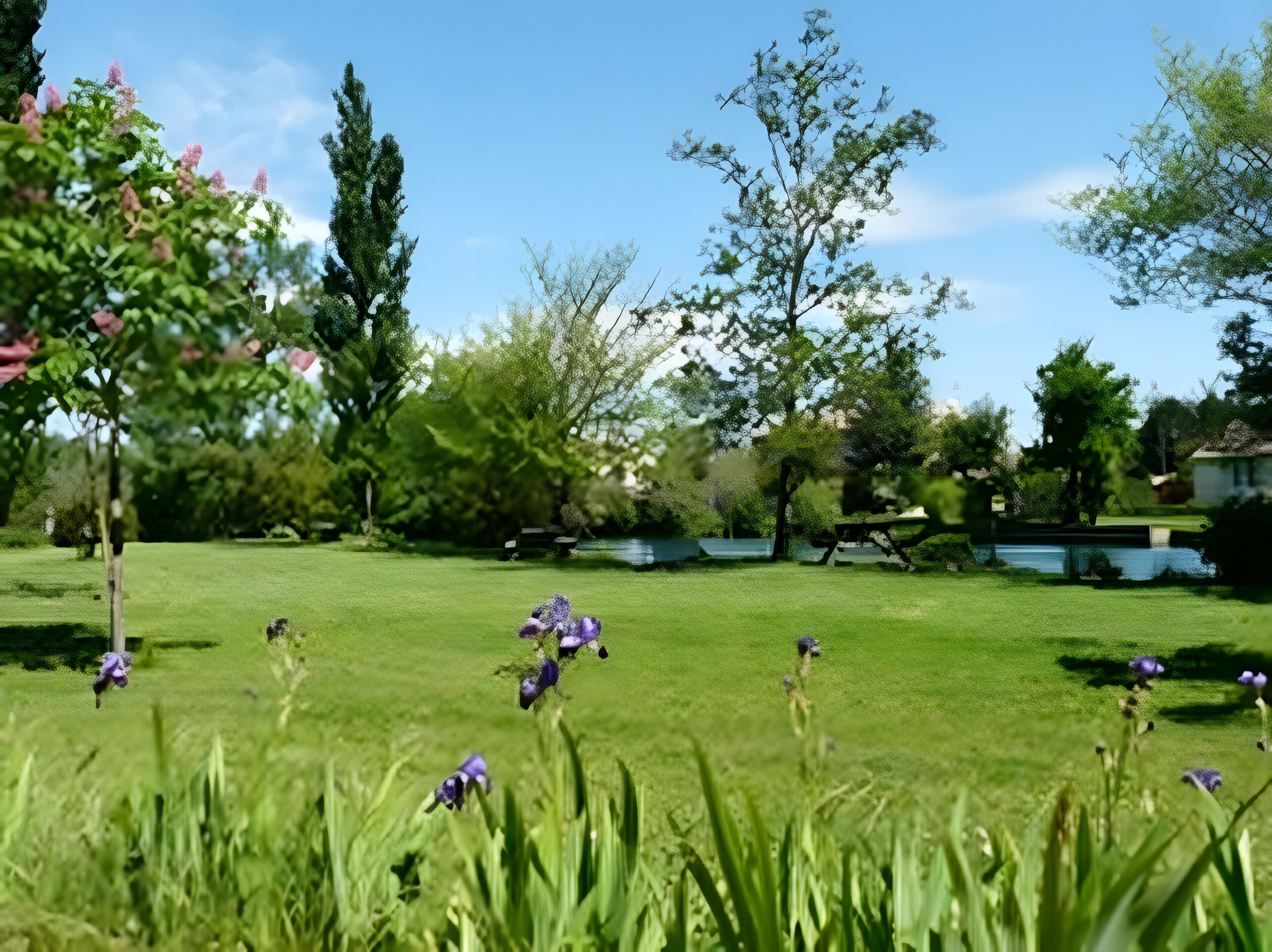 A park with grass, trees, and a bench.