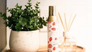 Ein Blumentopf, eine Sprühflasche und Rattan-Diffusor-Stäbchen auf einer Holzschale.