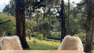 32-tums platt-tv med kabelkanaler