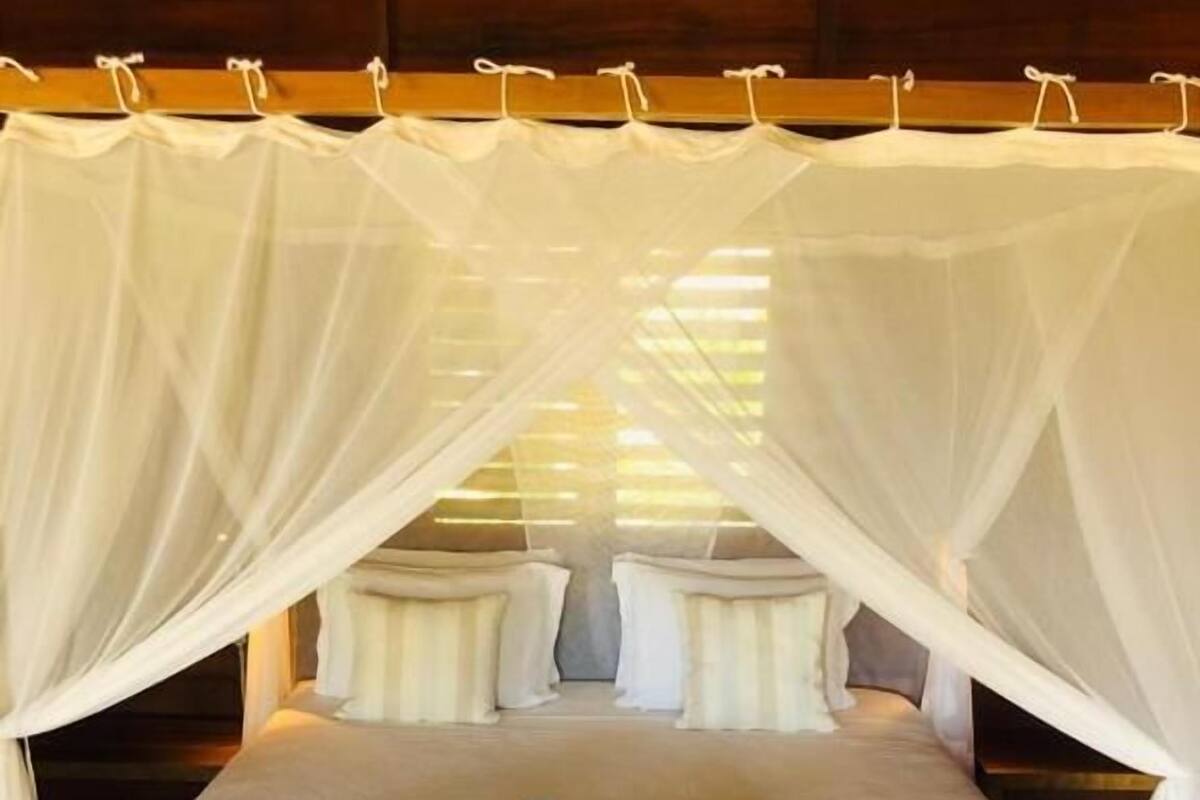 Standard Double Room | Premium bedding, minibar, in-room safe, laptop workspace