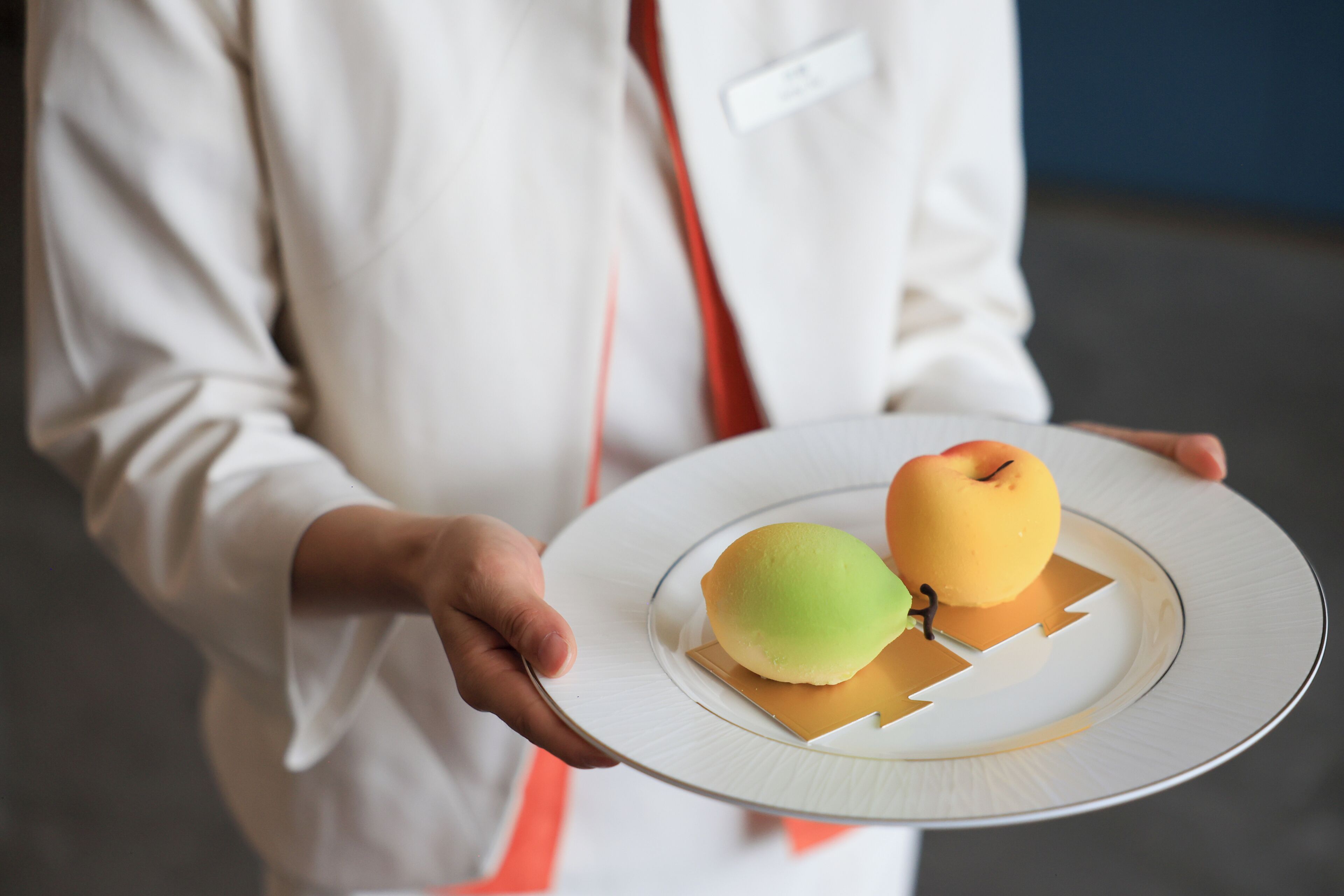 A person holding a plate with two apples.