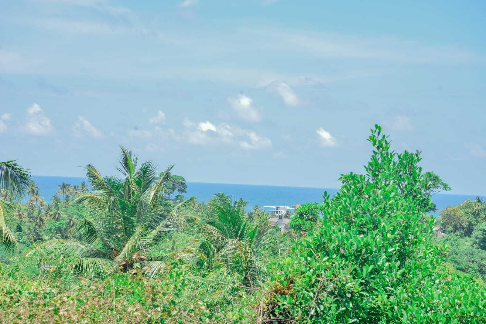 Paisaje tropical con vegetación exuberante y vista al océano.