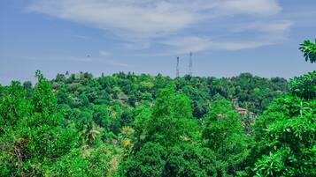 Taman
